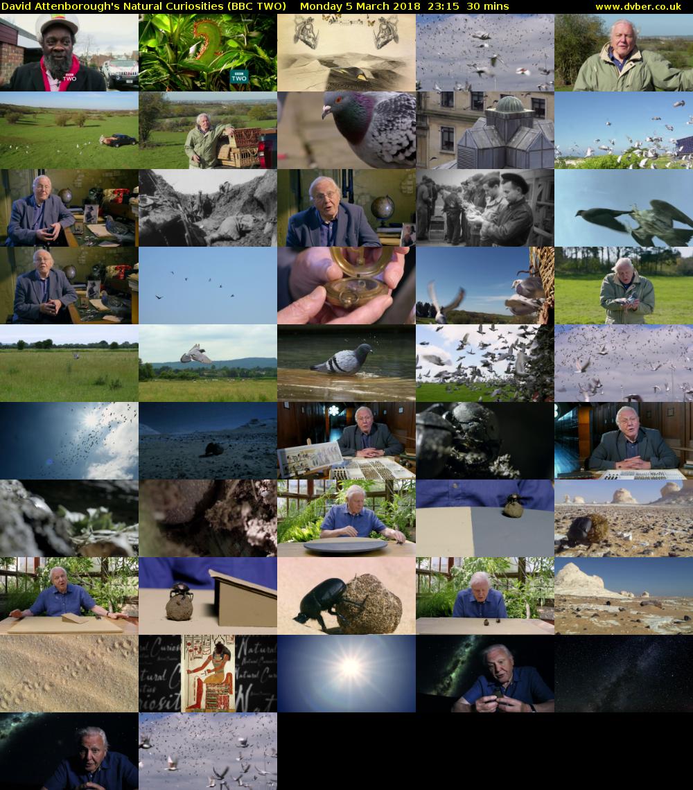 David Attenborough's Natural Curiosities (BBC TWO) Monday 5 March 2018 23:15 - 23:45