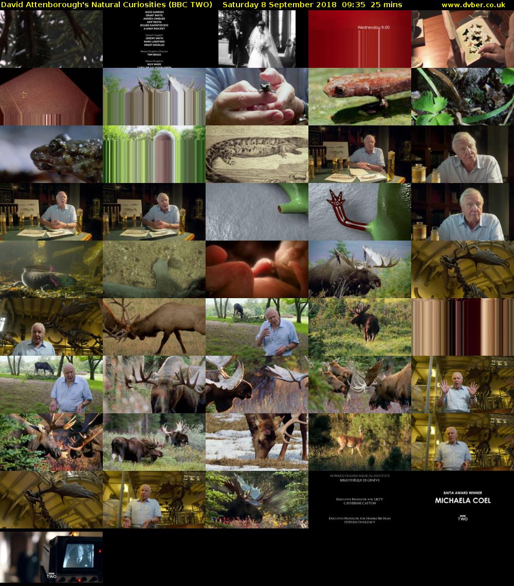 David Attenborough's Natural Curiosities (BBC TWO) Saturday 8 September 2018 09:35 - 10:00