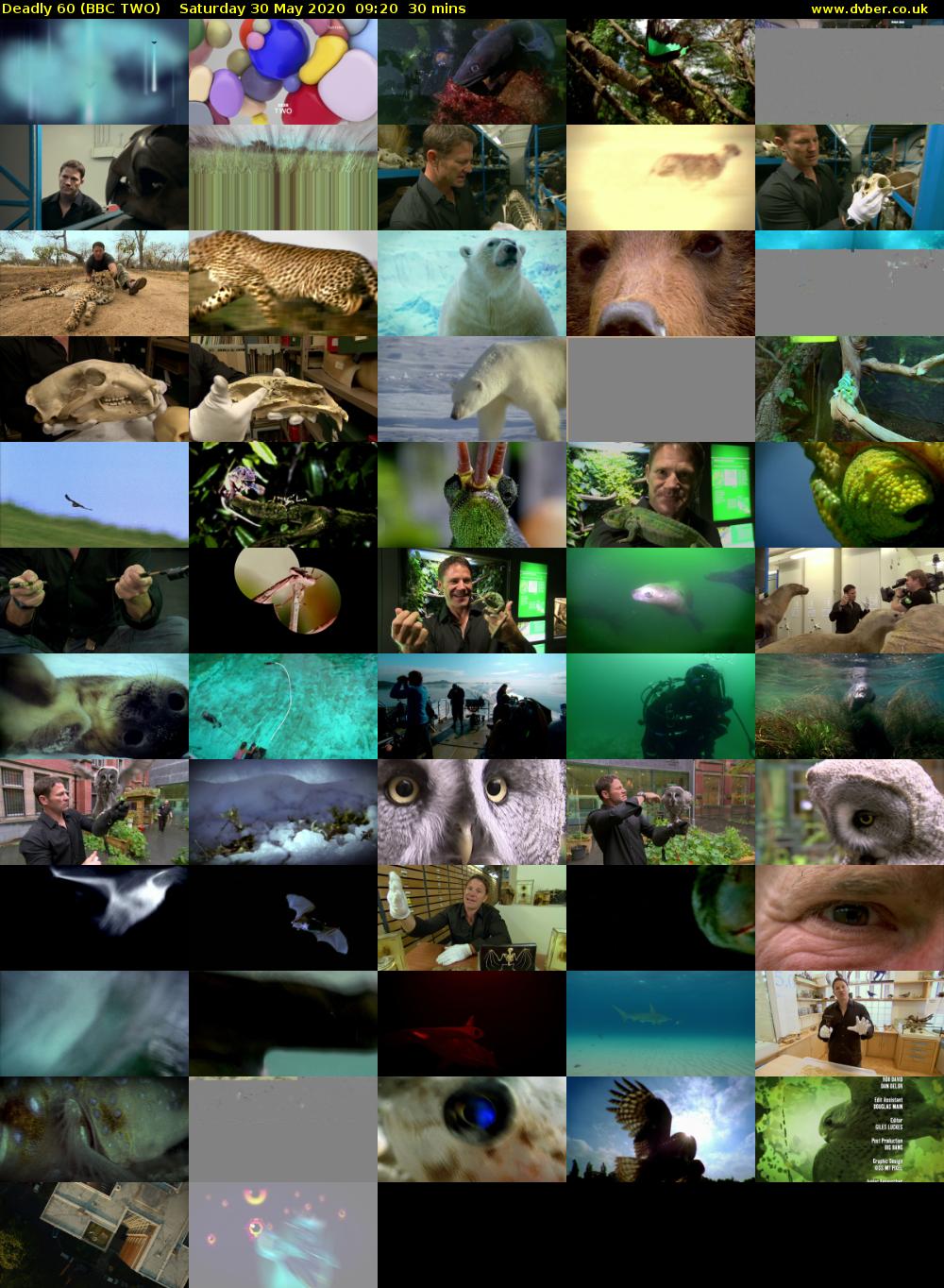 Deadly 60 (BBC TWO) Saturday 30 May 2020 09:20 - 09:50