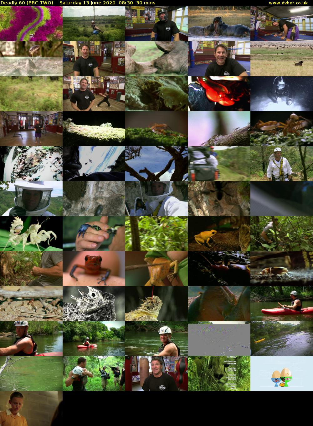 Deadly 60 (BBC TWO) Saturday 13 June 2020 08:30 - 09:00