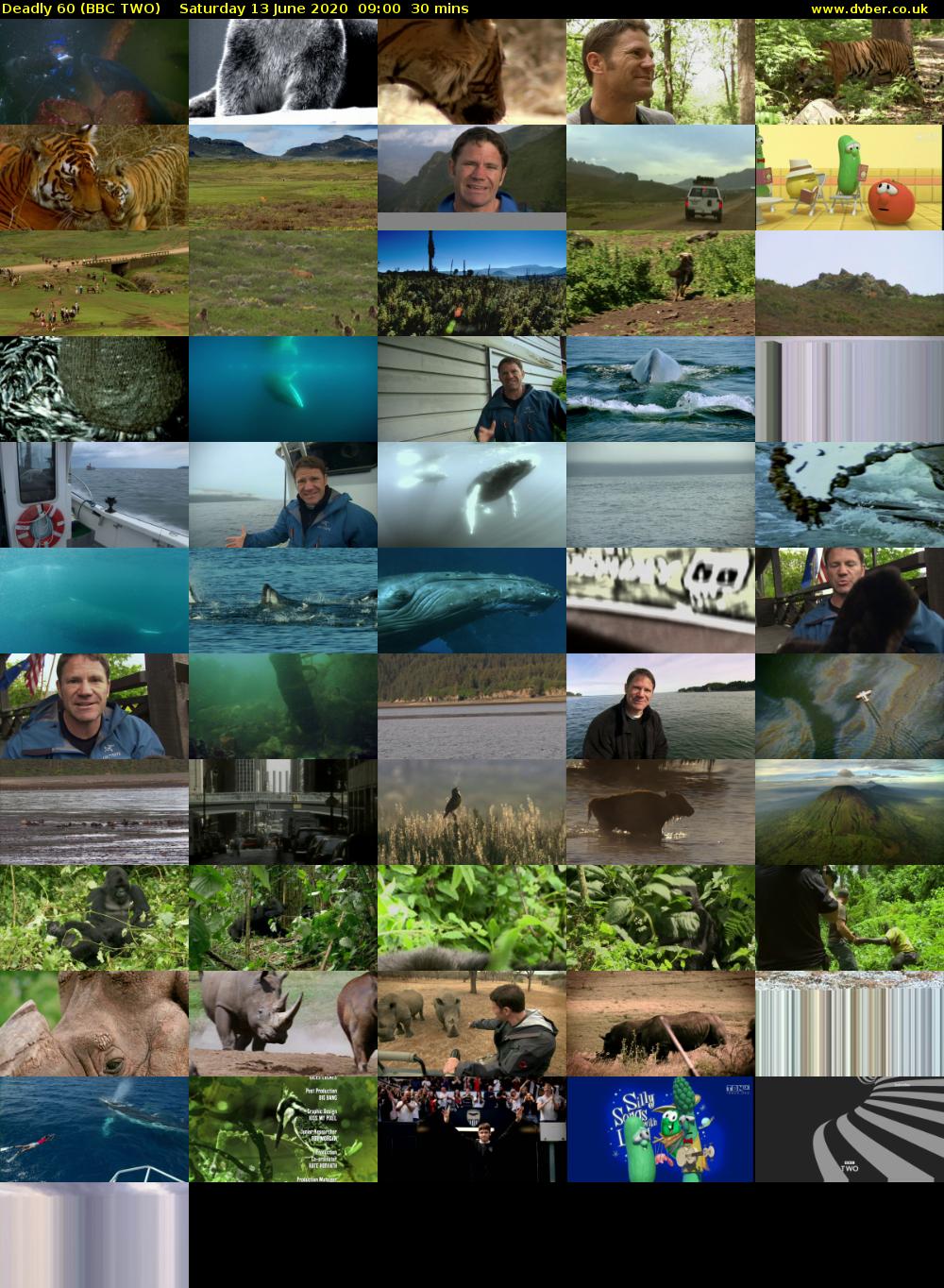 Deadly 60 (BBC TWO) Saturday 13 June 2020 09:00 - 09:30