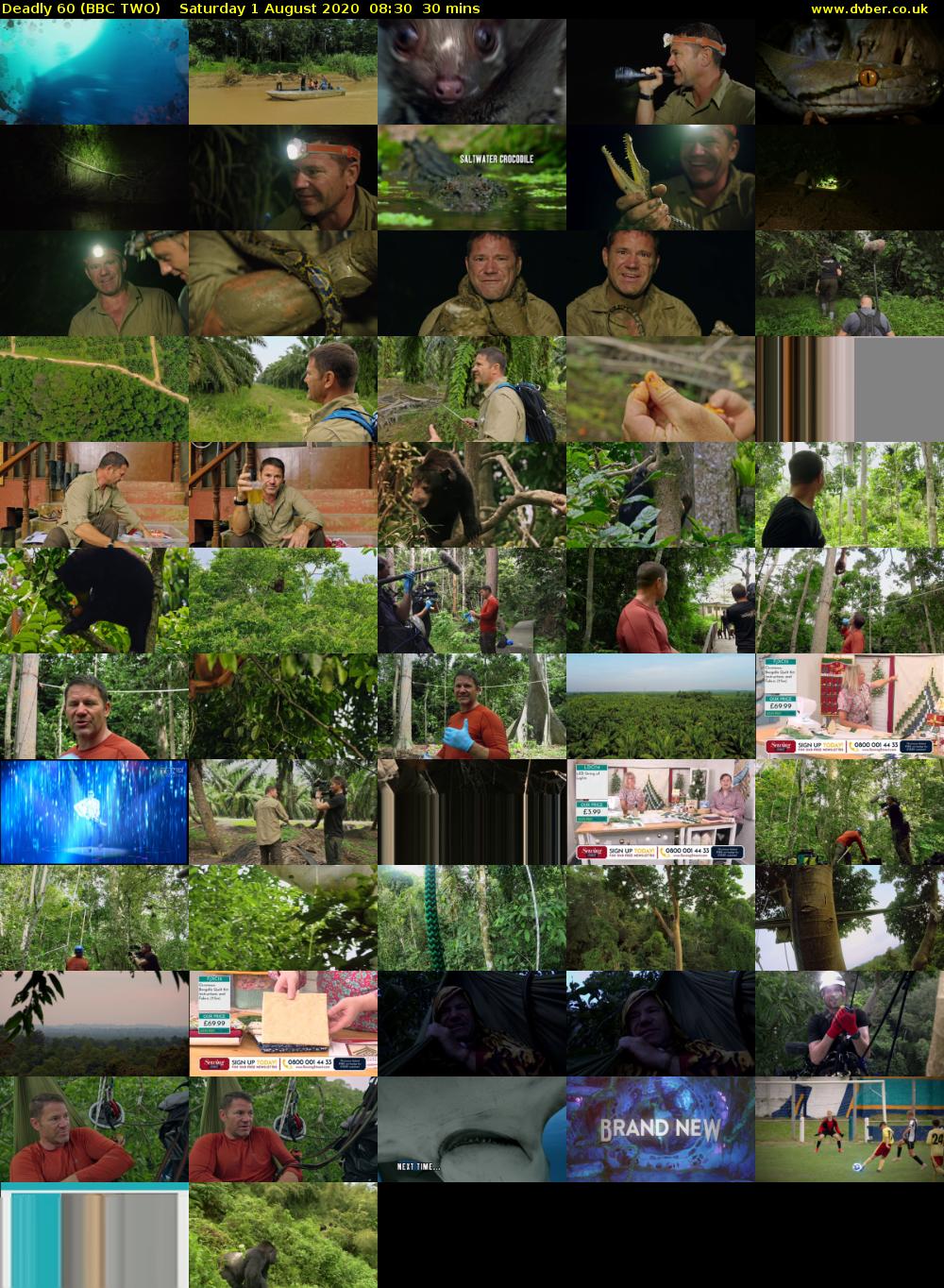 Deadly 60 (BBC TWO) Saturday 1 August 2020 08:30 - 09:00