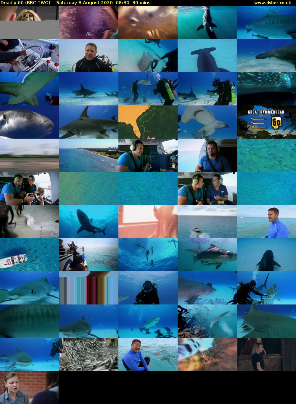 Deadly 60 (BBC TWO) Saturday 8 August 2020 08:30 - 09:00