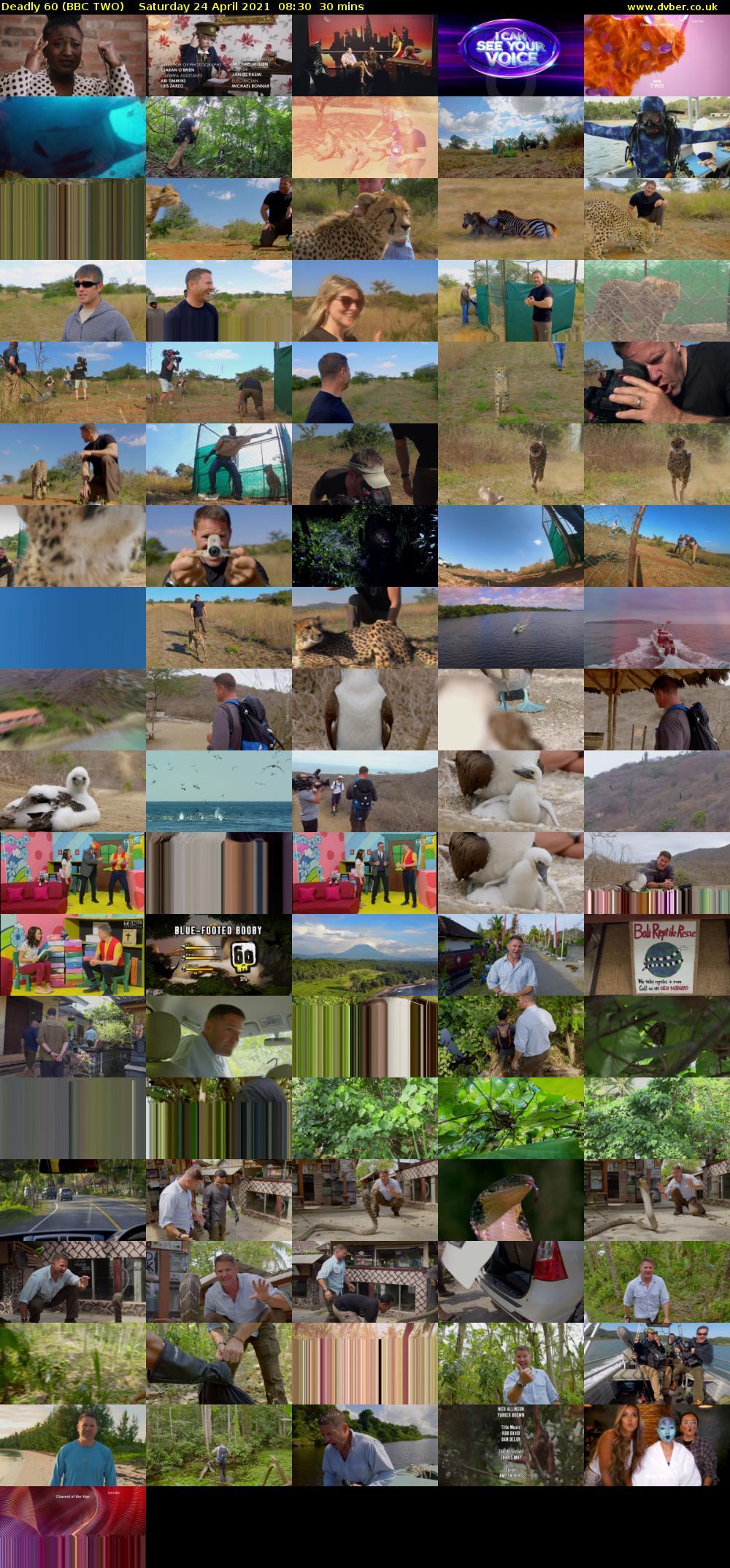Deadly 60 (BBC TWO) Saturday 24 April 2021 08:30 - 09:00