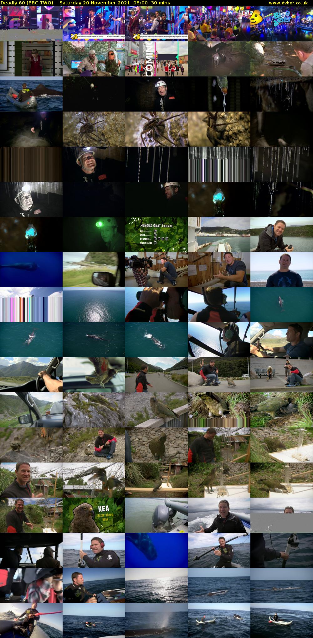Deadly 60 (BBC TWO) Saturday 20 November 2021 08:00 - 08:30