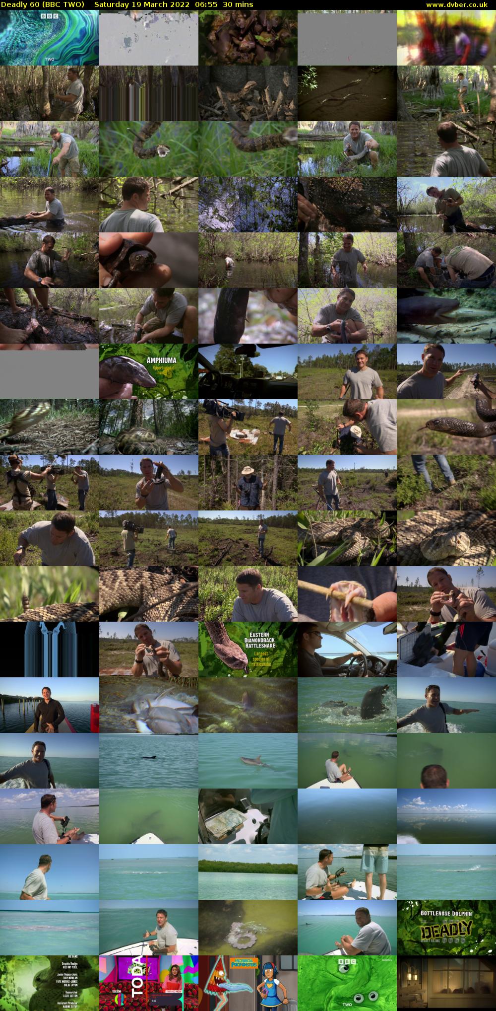 Deadly 60 (BBC TWO) Saturday 19 March 2022 06:55 - 07:25