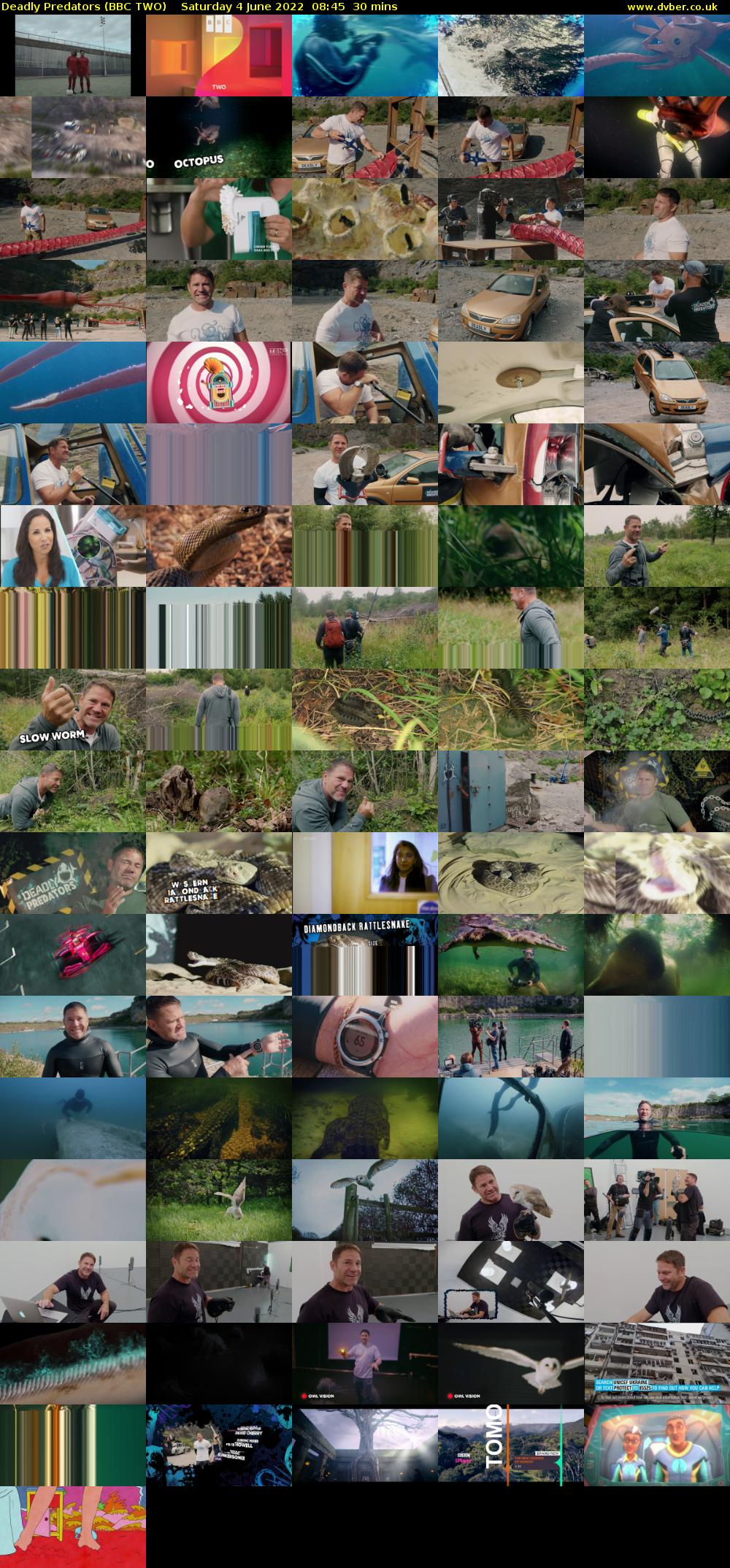 Deadly Predators (BBC TWO) Saturday 4 June 2022 08:45 - 09:15