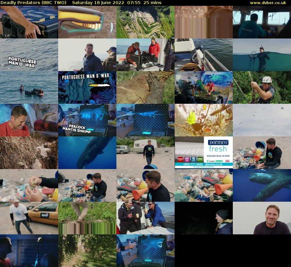 Deadly Predators (BBC TWO) Saturday 18 June 2022 07:55 - 08:20