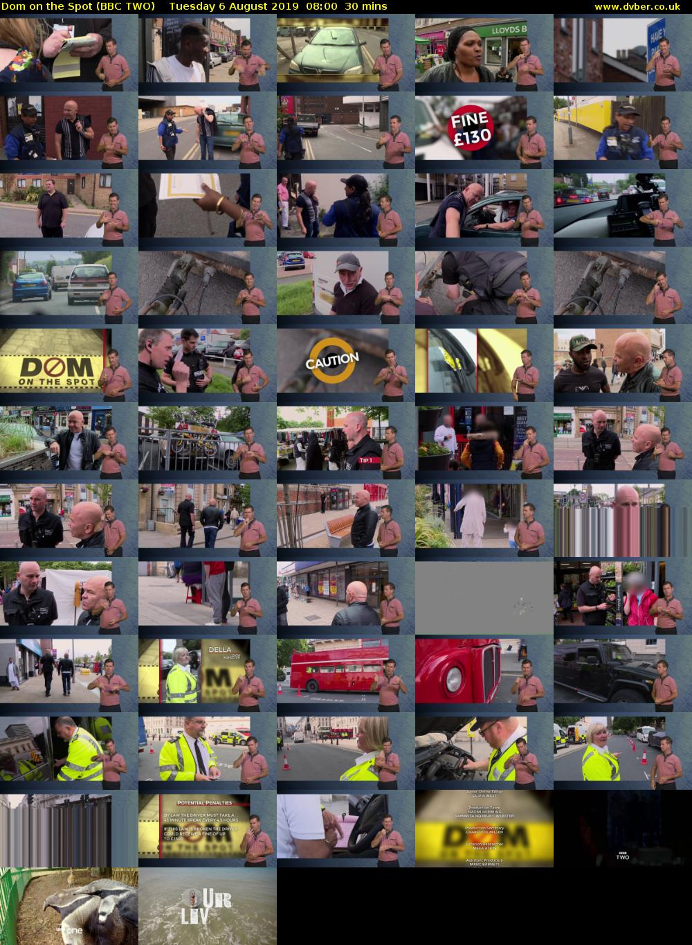 Dom on the Spot (BBC TWO) Tuesday 6 August 2019 08:00 - 08:30