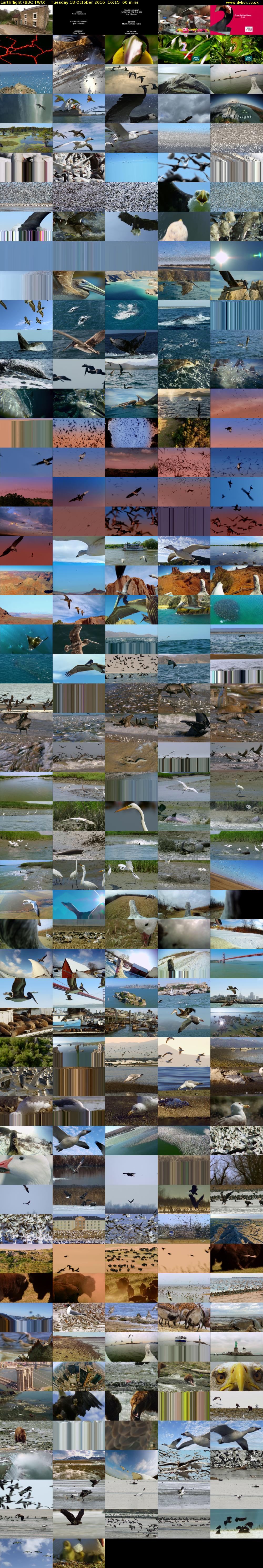 Earthflight (BBC TWO) Tuesday 18 October 2016 16:15 - 17:15