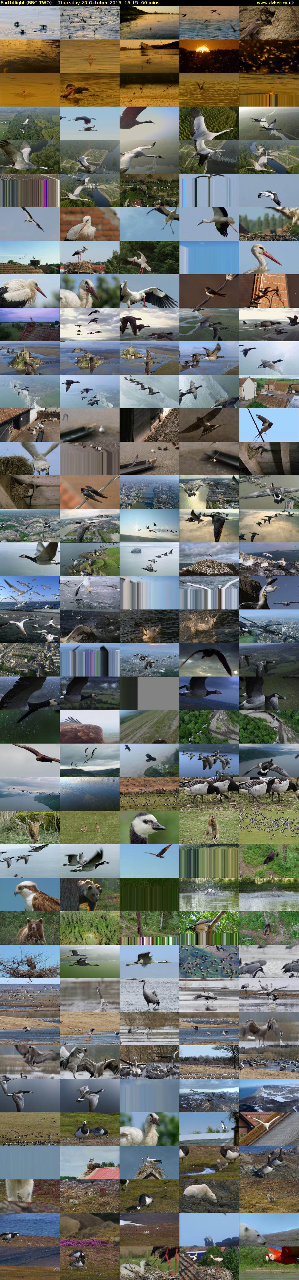 Earthflight (BBC TWO) Thursday 20 October 2016 16:15 - 17:15