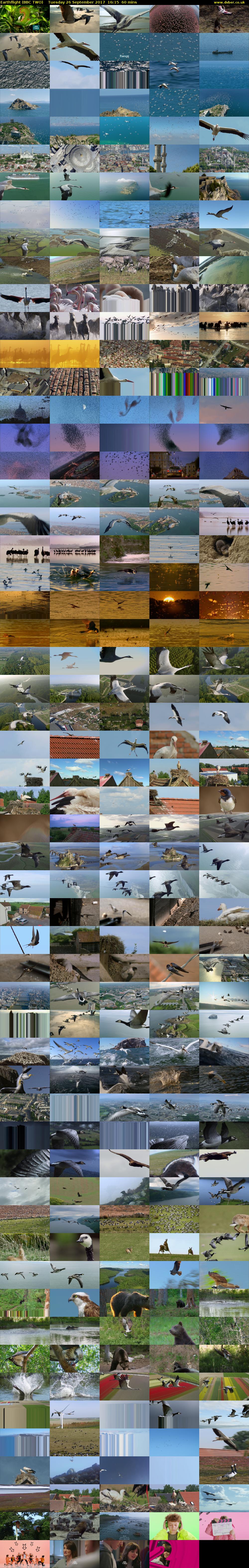 Earthflight (BBC TWO) Tuesday 26 September 2017 16:15 - 17:15