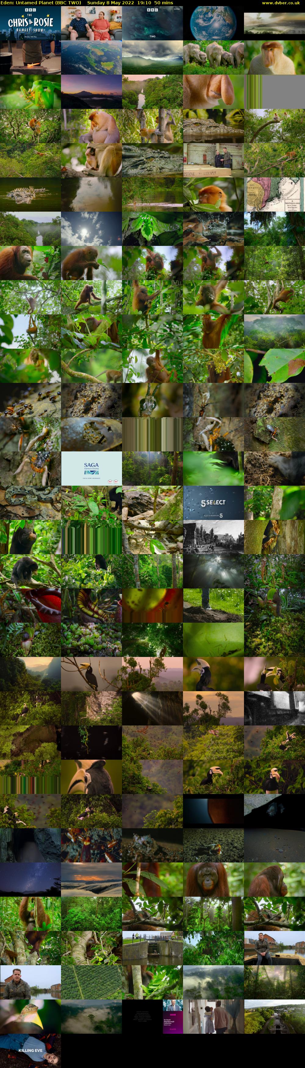 Eden: Untamed Planet (BBC TWO) Sunday 8 May 2022 19:10 - 20:00