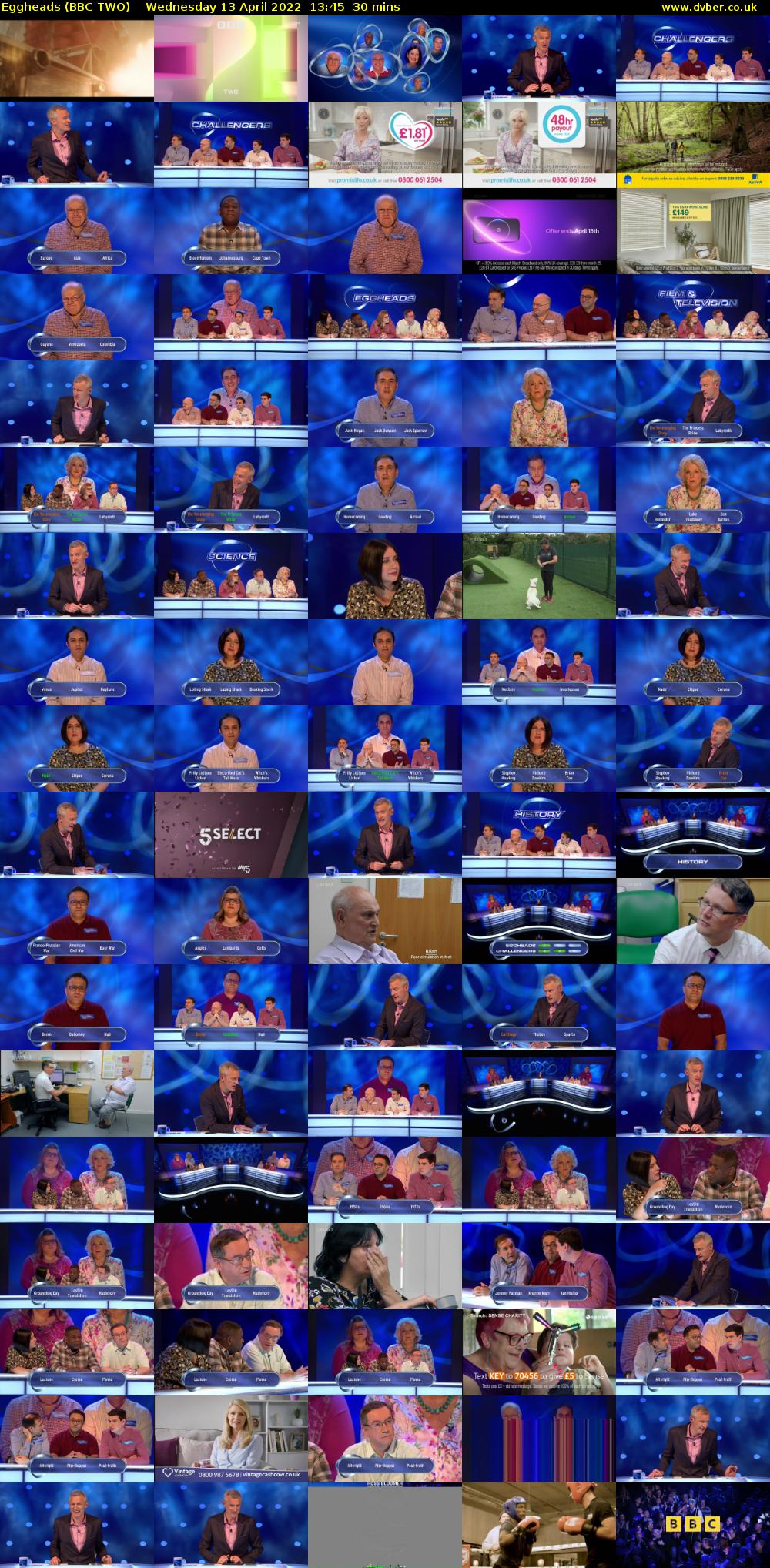 Eggheads (BBC TWO) Wednesday 13 April 2022 13:45 - 14:15