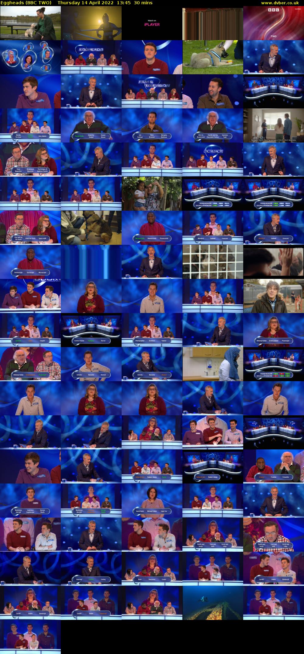 Eggheads (BBC TWO) Thursday 14 April 2022 13:45 - 14:15
