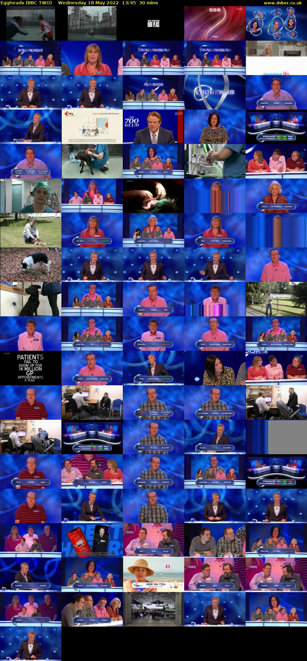 Eggheads (BBC TWO) Wednesday 18 May 2022 13:45 - 14:15