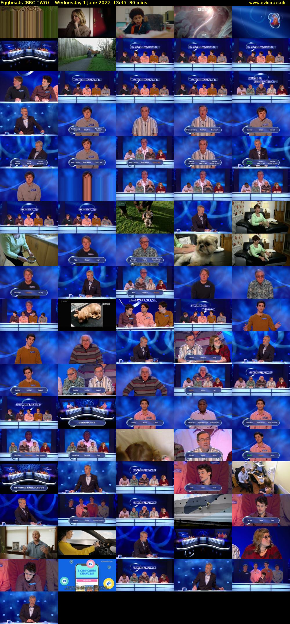 Eggheads (BBC TWO) Wednesday 1 June 2022 13:45 - 14:15