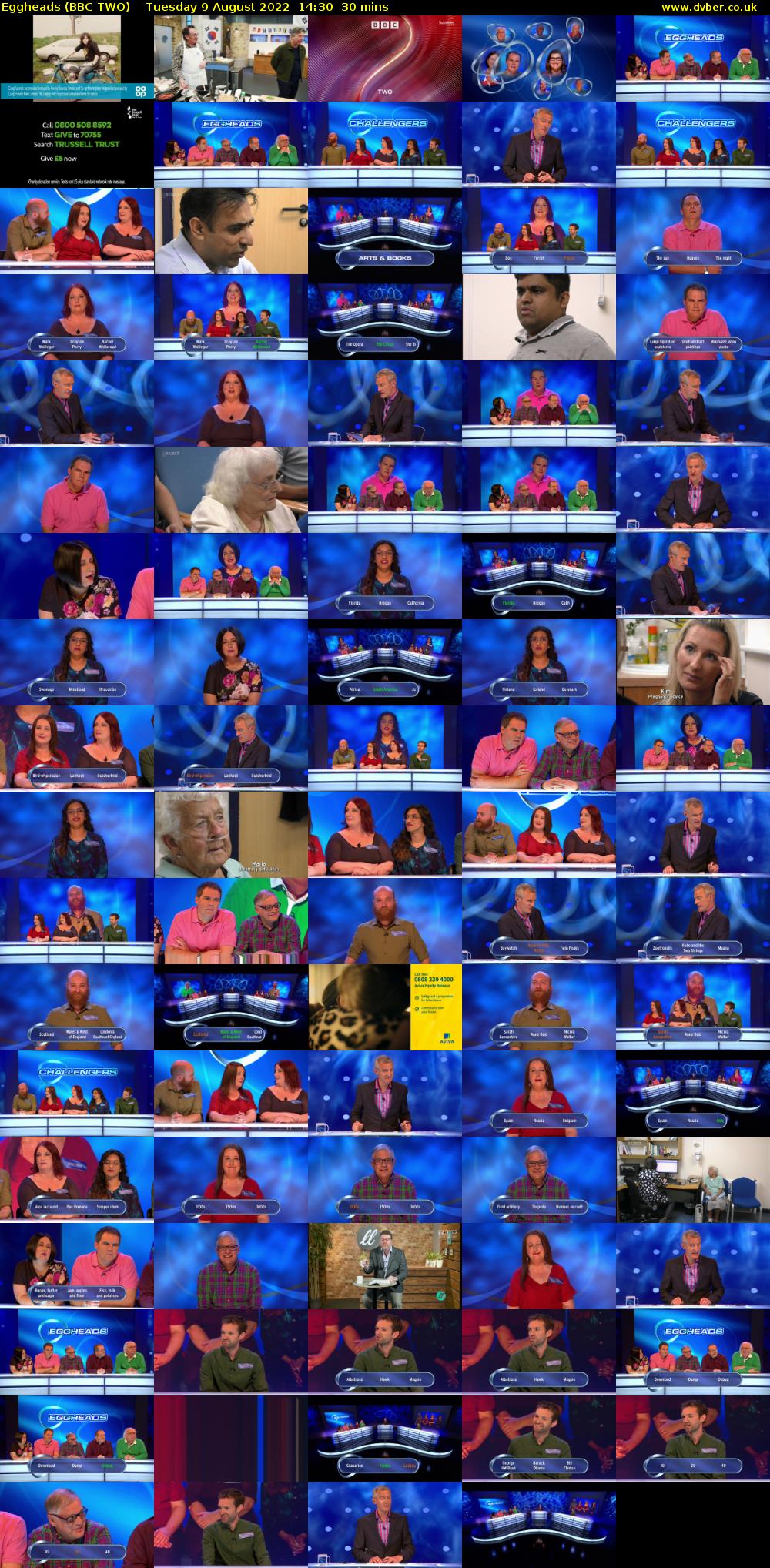 Eggheads (BBC TWO) Tuesday 9 August 2022 14:30 - 15:00