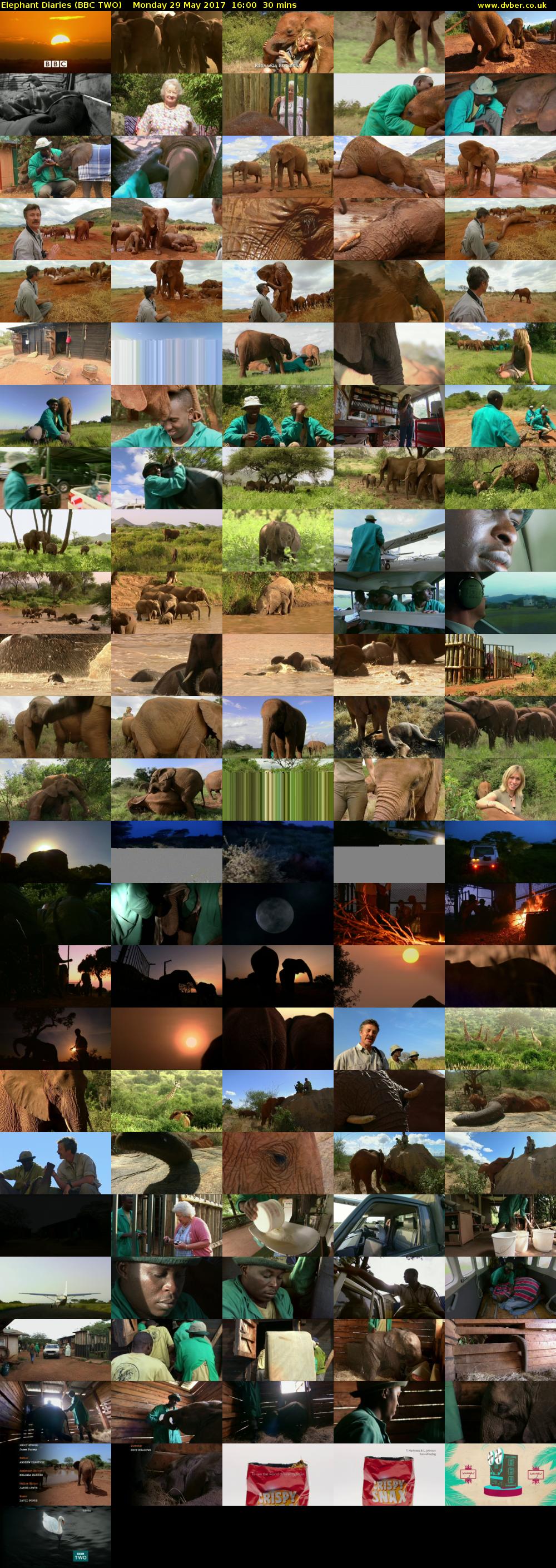 Elephant Diaries (BBC TWO) Monday 29 May 2017 16:00 - 16:30