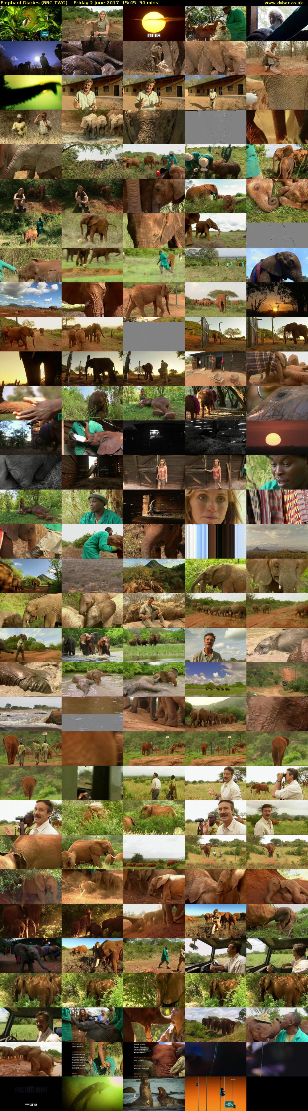 Elephant Diaries (BBC TWO) Friday 2 June 2017 15:45 - 16:15