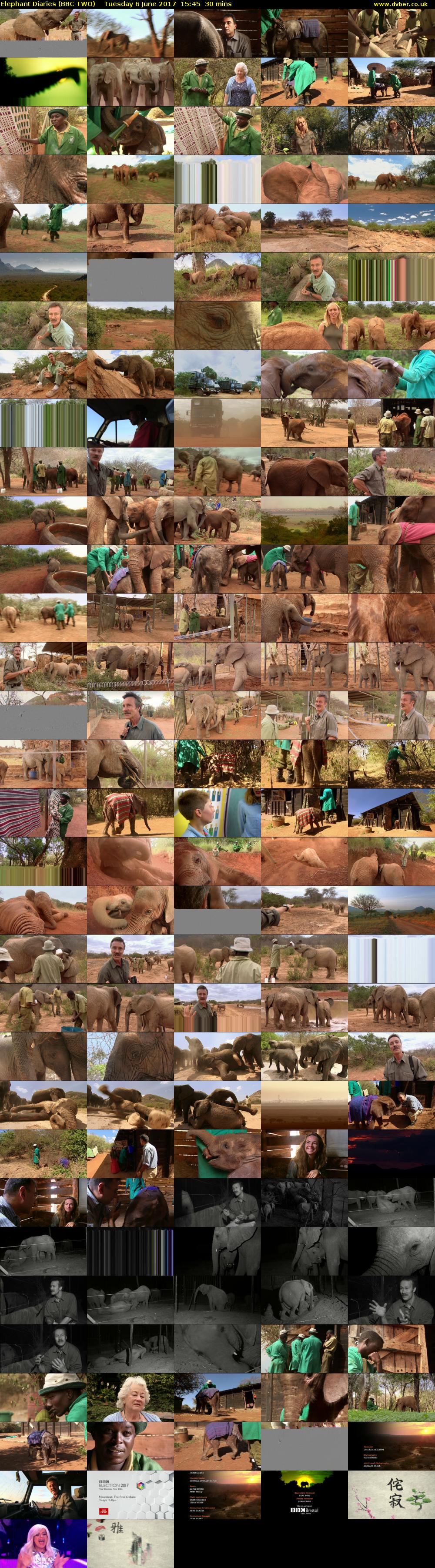 Elephant Diaries (BBC TWO) Tuesday 6 June 2017 15:45 - 16:15