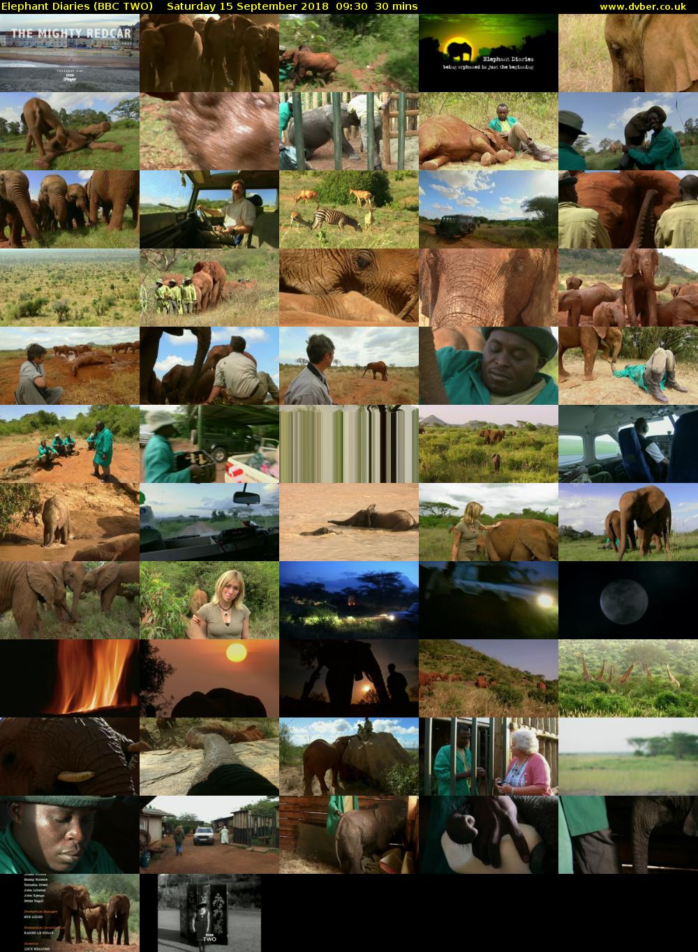 Elephant Diaries (BBC TWO) Saturday 15 September 2018 09:30 - 10:00