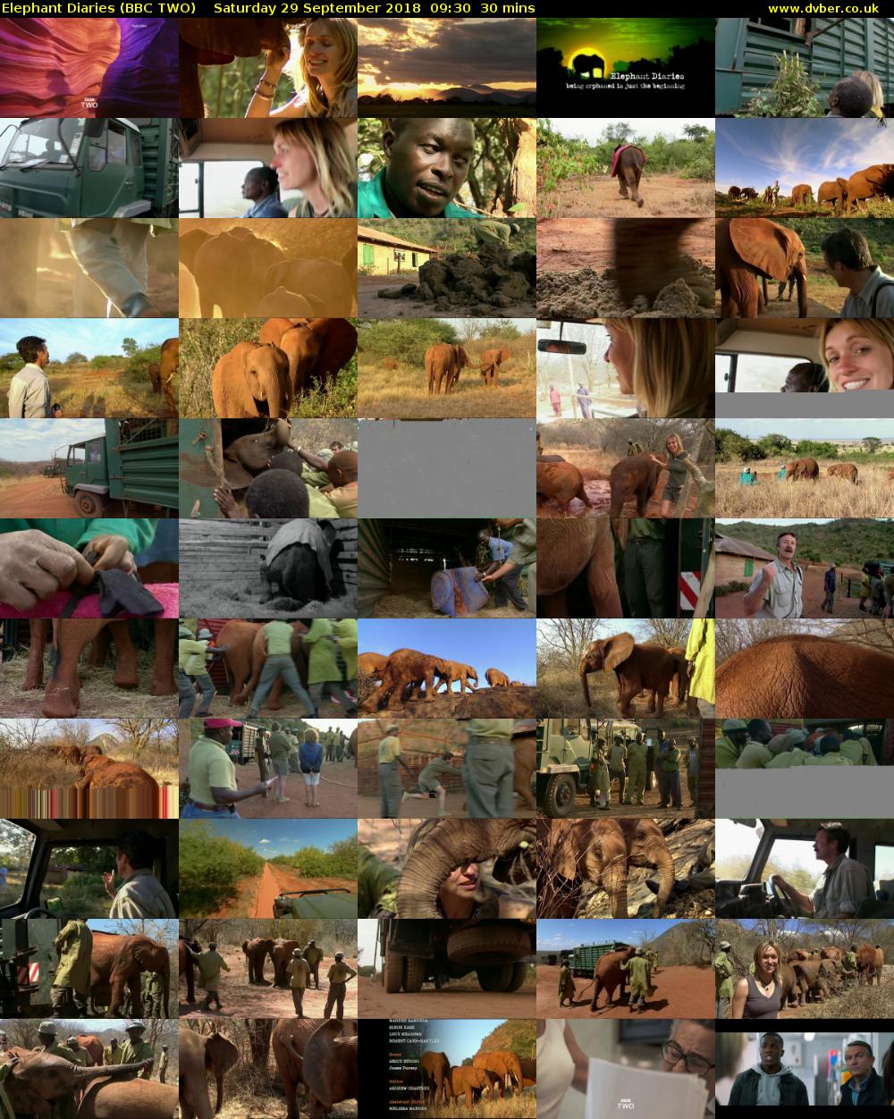 Elephant Diaries (BBC TWO) Saturday 29 September 2018 09:30 - 10:00