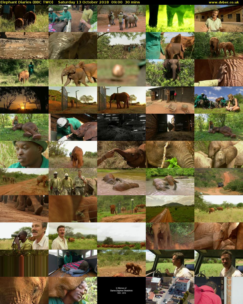 Elephant Diaries (BBC TWO) Saturday 13 October 2018 09:00 - 09:30