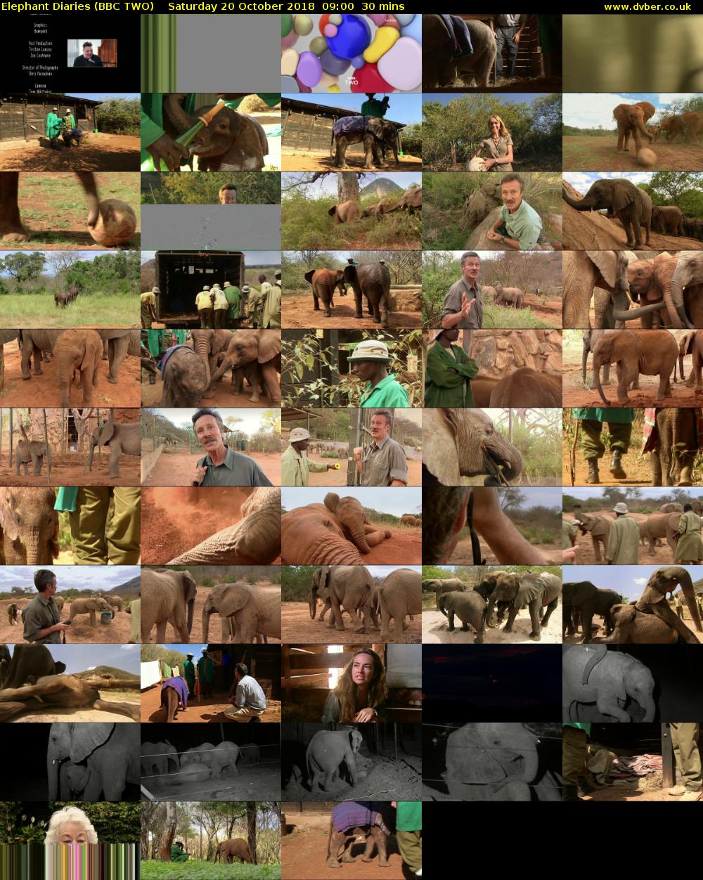 Elephant Diaries (BBC TWO) Saturday 20 October 2018 09:00 - 09:30