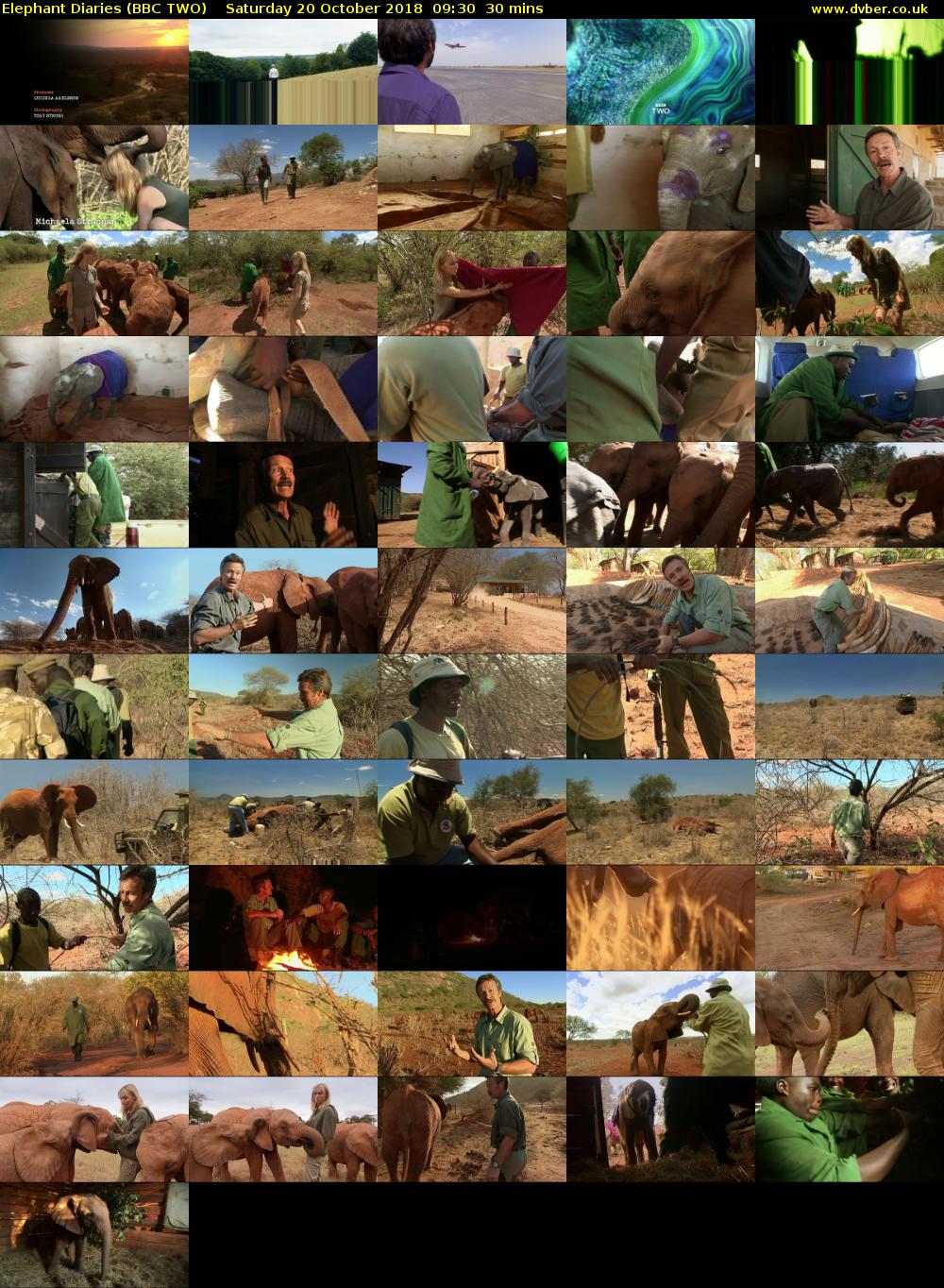 Elephant Diaries (BBC TWO) Saturday 20 October 2018 09:30 - 10:00