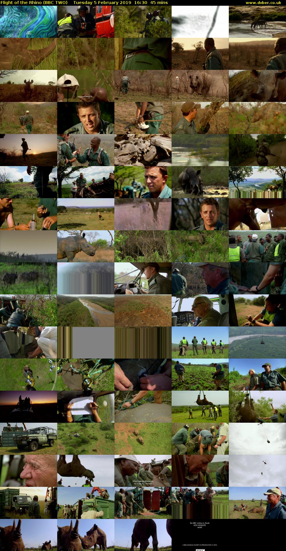 Flight of the Rhino (BBC TWO) Tuesday 5 February 2019 16:30 - 17:15