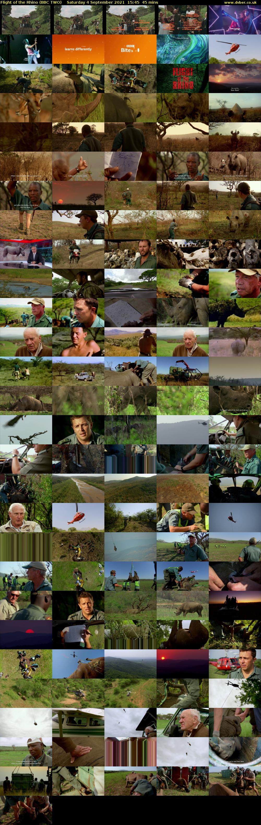 Flight of the Rhino (BBC TWO) Saturday 4 September 2021 15:45 - 16:30