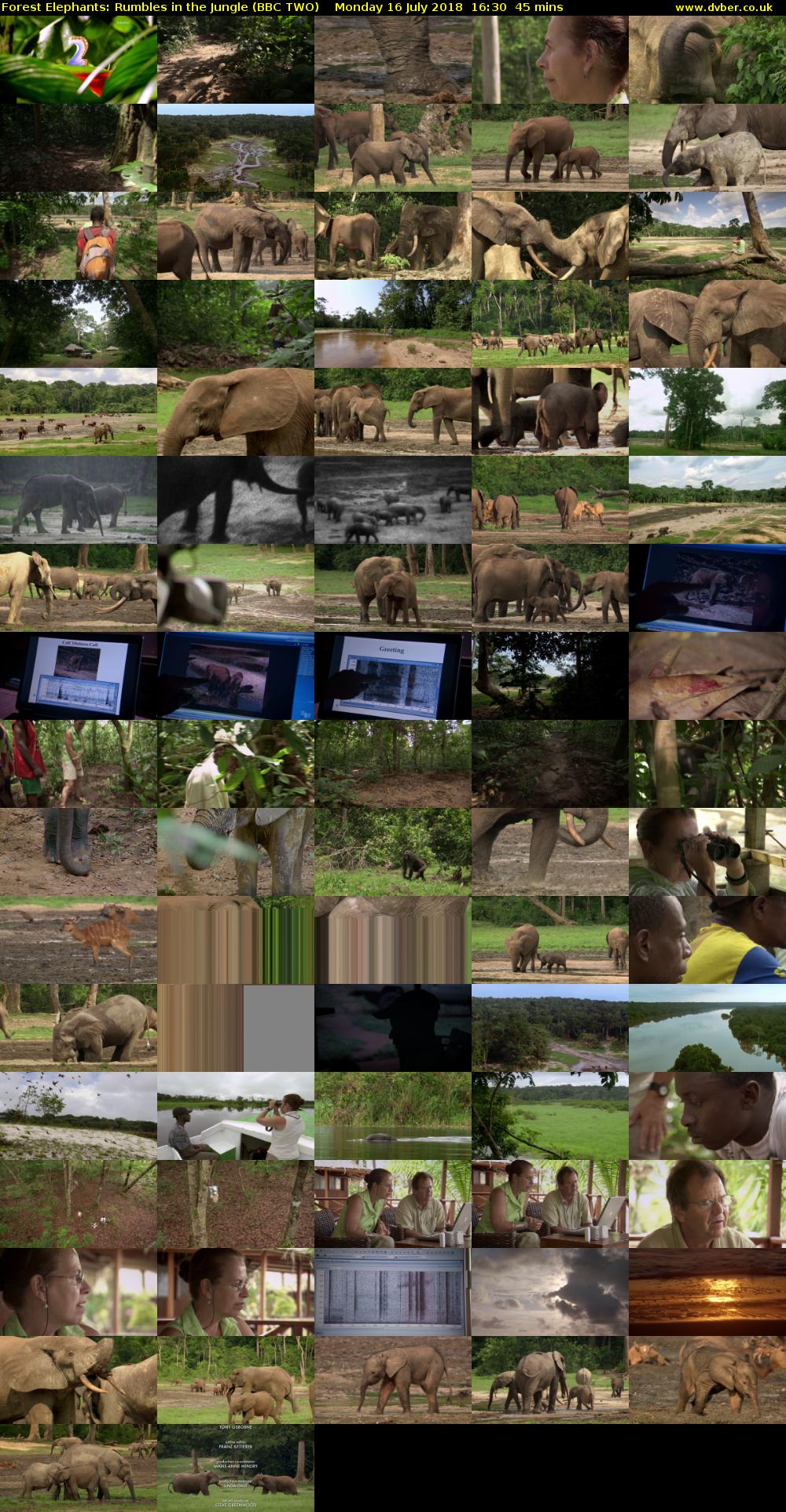 Forest Elephants: Rumbles in the Jungle (BBC TWO) Monday 16 July 2018 16:30 - 17:15