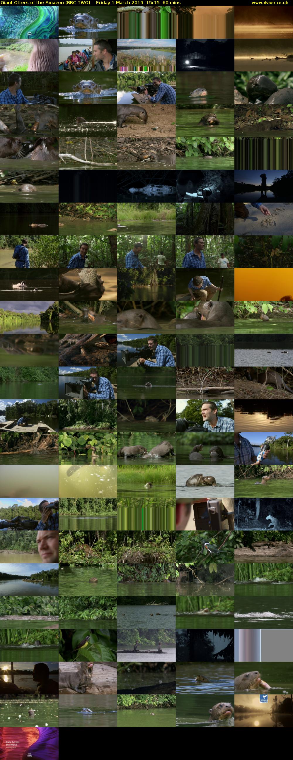 Giant Otters of the Amazon (BBC TWO) Friday 1 March 2019 15:15 - 16:15