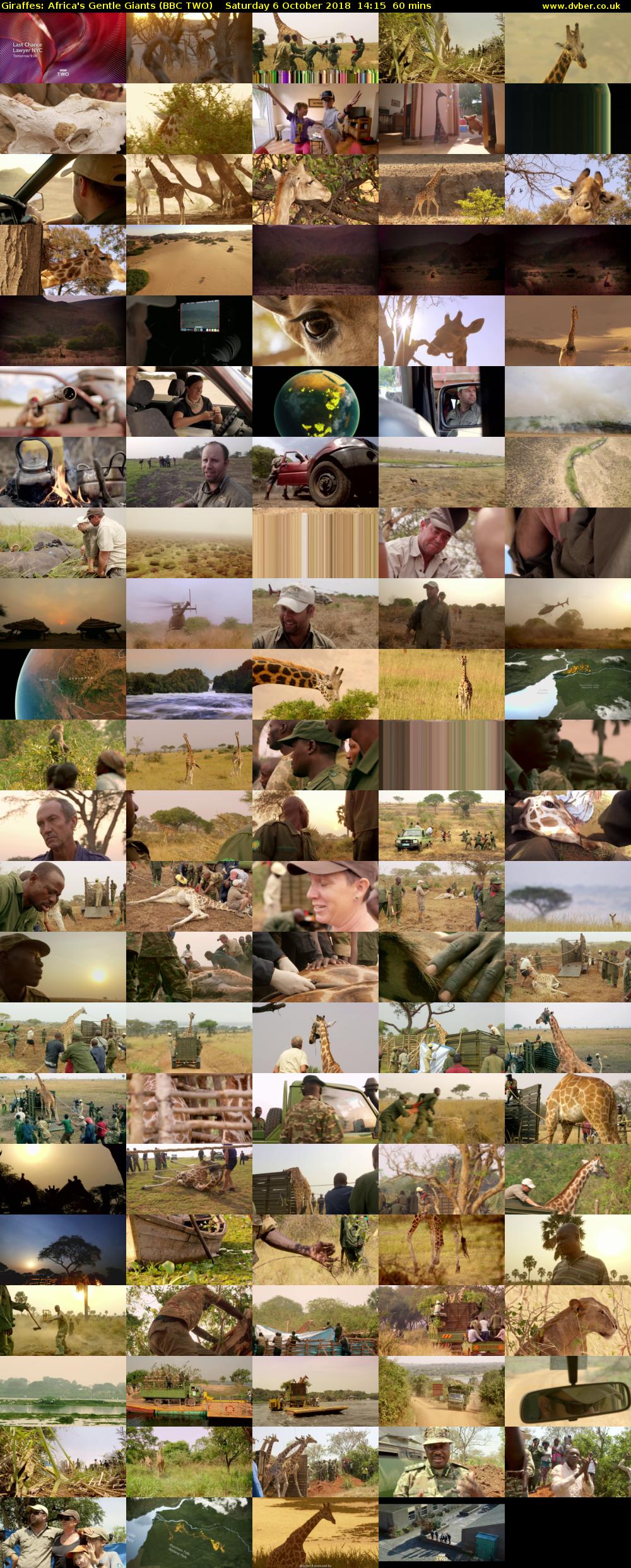 Giraffes: Africa's Gentle Giants (BBC TWO) Saturday 6 October 2018 14:15 - 15:15