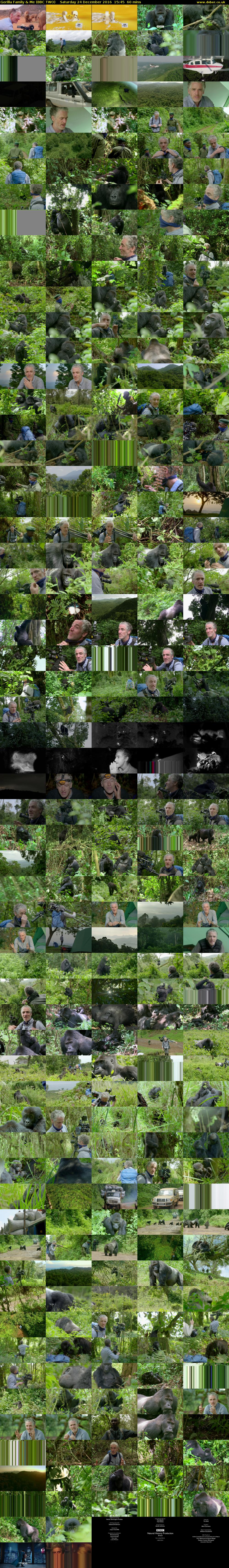 Gorilla Family & Me (BBC TWO) Saturday 24 December 2016 15:45 - 16:45