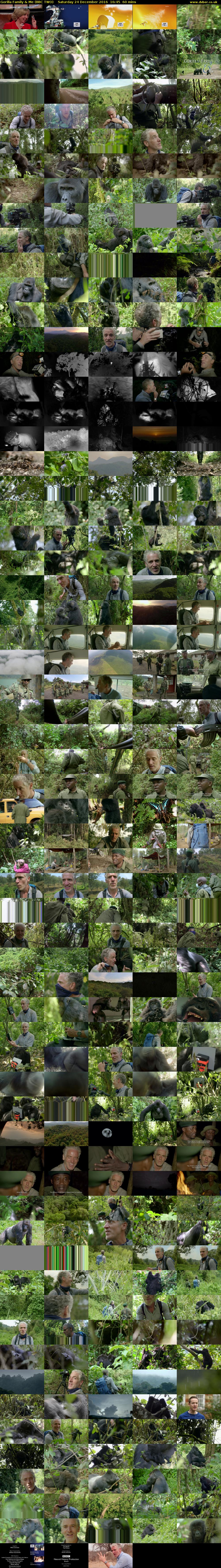 Gorilla Family & Me (BBC TWO) Saturday 24 December 2016 16:45 - 17:45