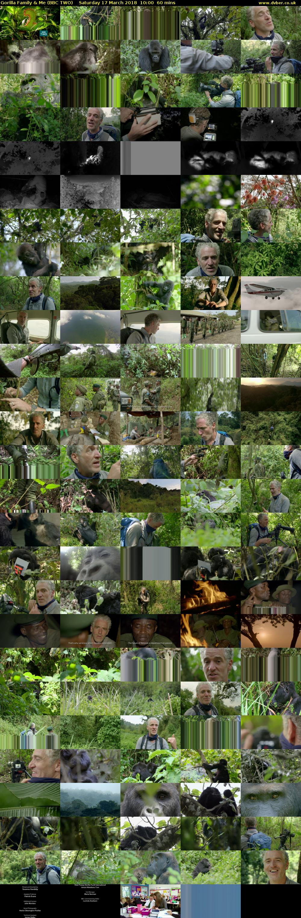 Gorilla Family & Me (BBC TWO) Saturday 17 March 2018 10:00 - 11:00