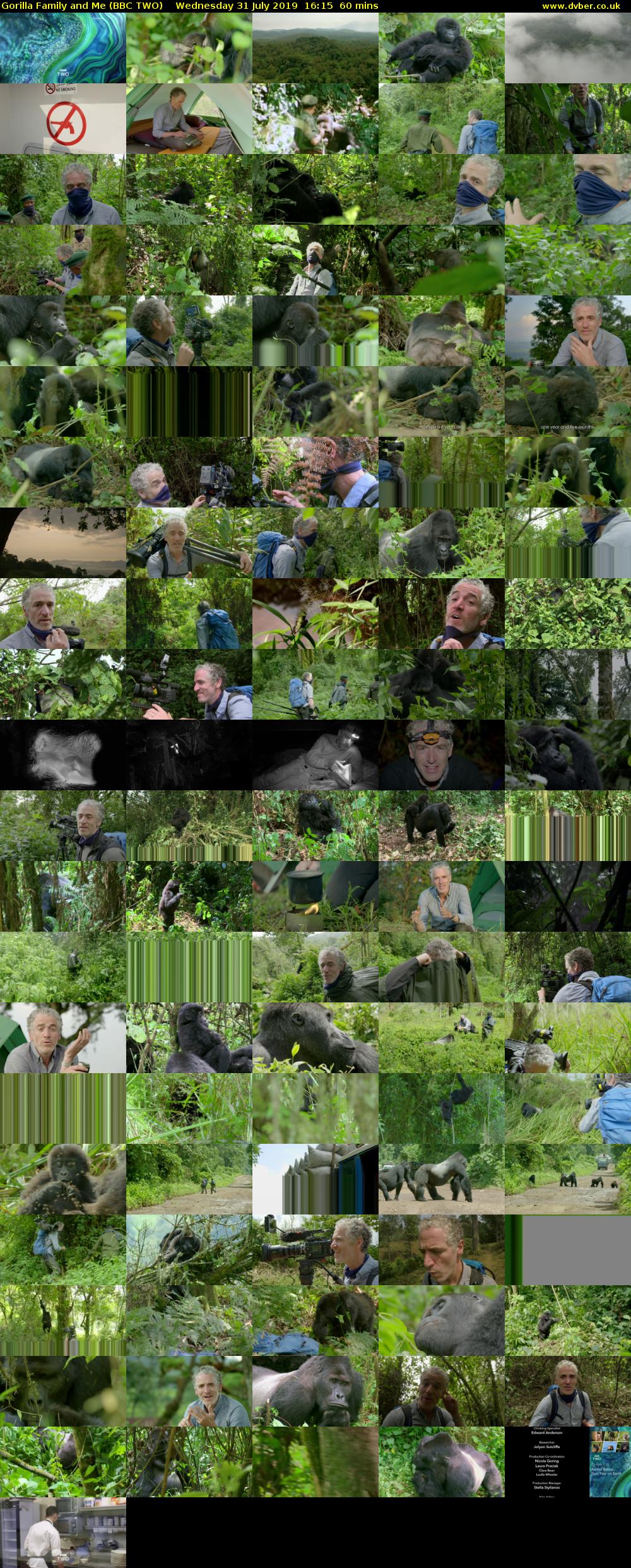 Gorilla Family and Me (BBC TWO) Wednesday 31 July 2019 16:15 - 17:15