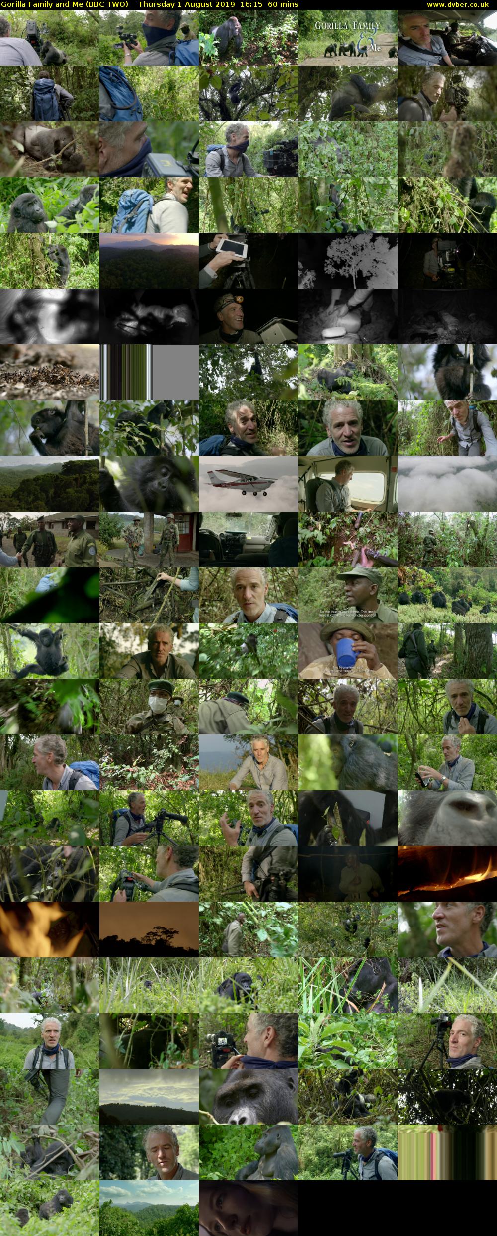 Gorilla Family and Me (BBC TWO) Thursday 1 August 2019 16:15 - 17:15
