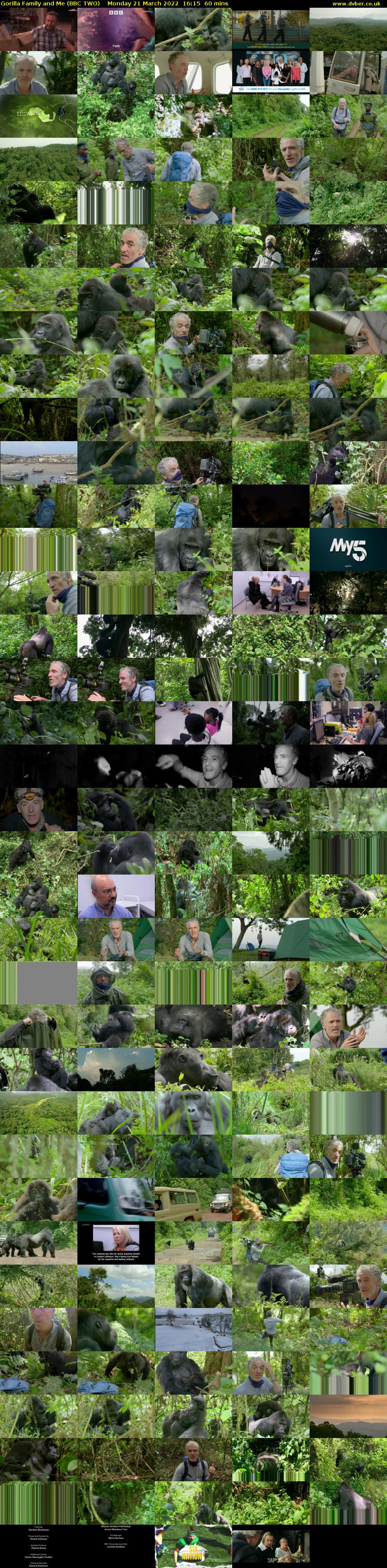 Gorilla Family and Me (BBC TWO) Monday 21 March 2022 16:15 - 17:15