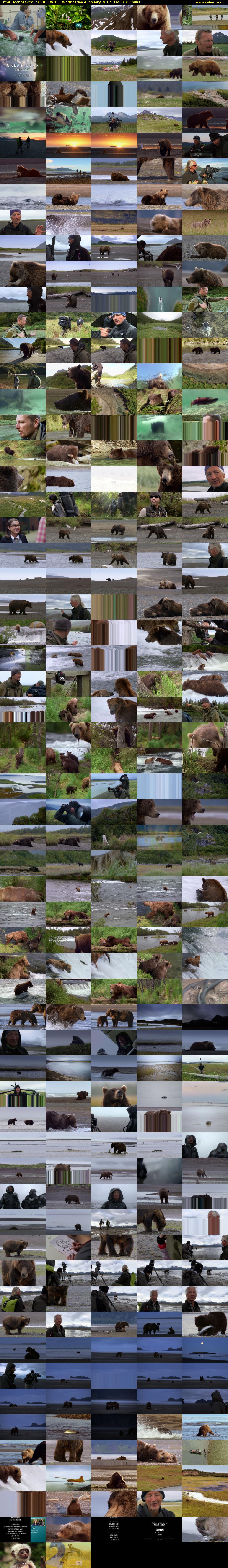 Great Bear Stakeout (BBC TWO) Wednesday 4 January 2017 14:30 - 15:30