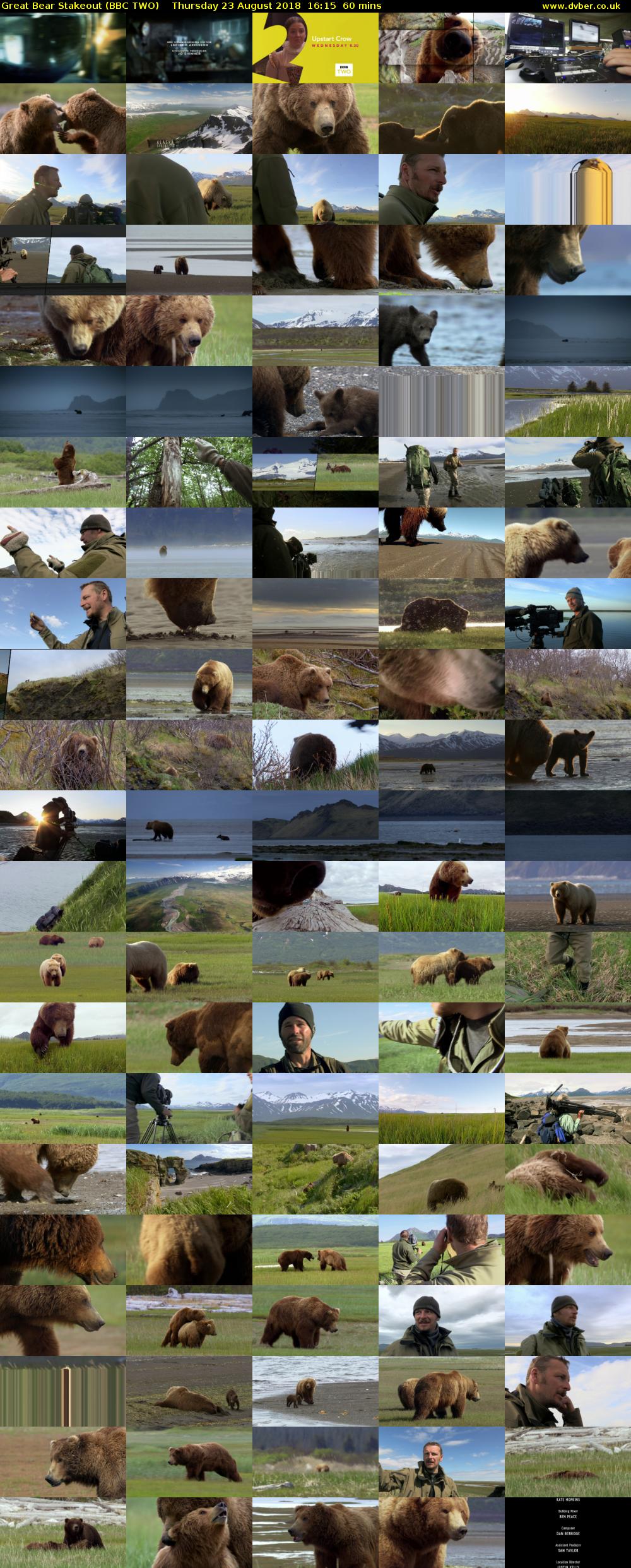 Great Bear Stakeout (BBC TWO) Thursday 23 August 2018 16:15 - 17:15
