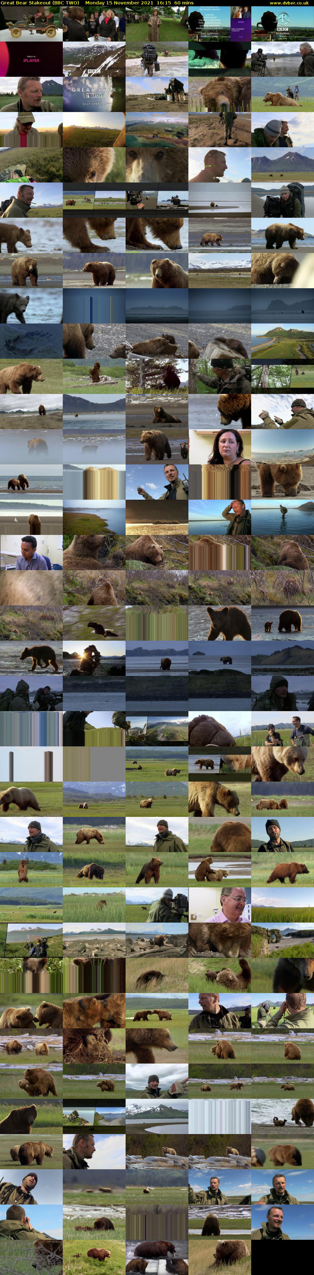 Great Bear Stakeout (BBC TWO) Monday 15 November 2021 16:15 - 17:15