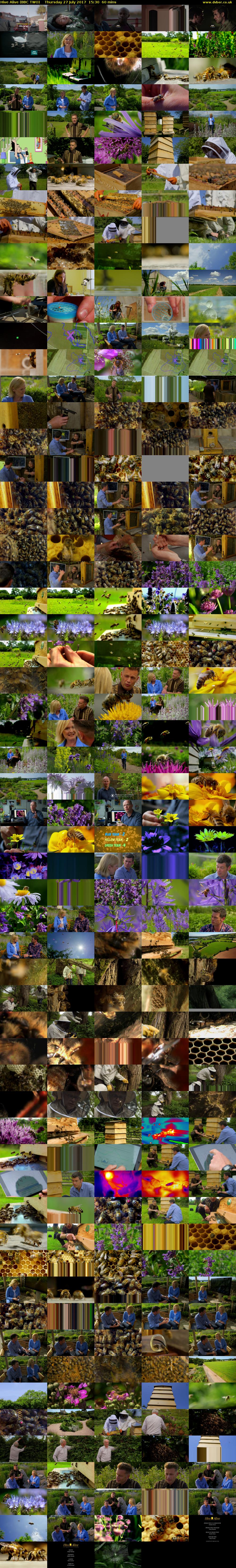 Hive Alive (BBC TWO) Thursday 27 July 2017 15:30 - 16:30