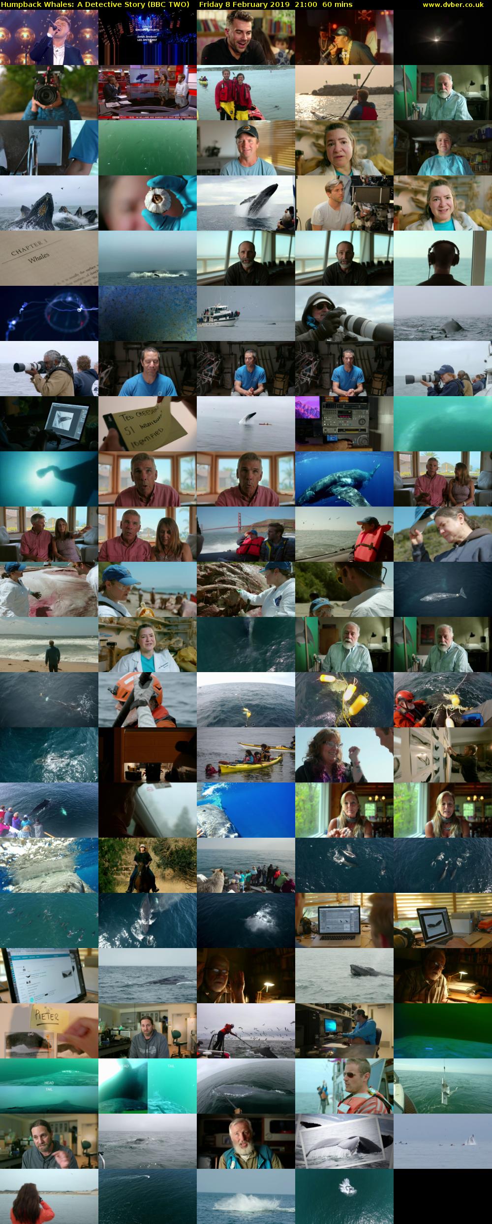 Humpback Whales: A Detective Story (BBC TWO) Friday 8 February 2019 21:00 - 22:00