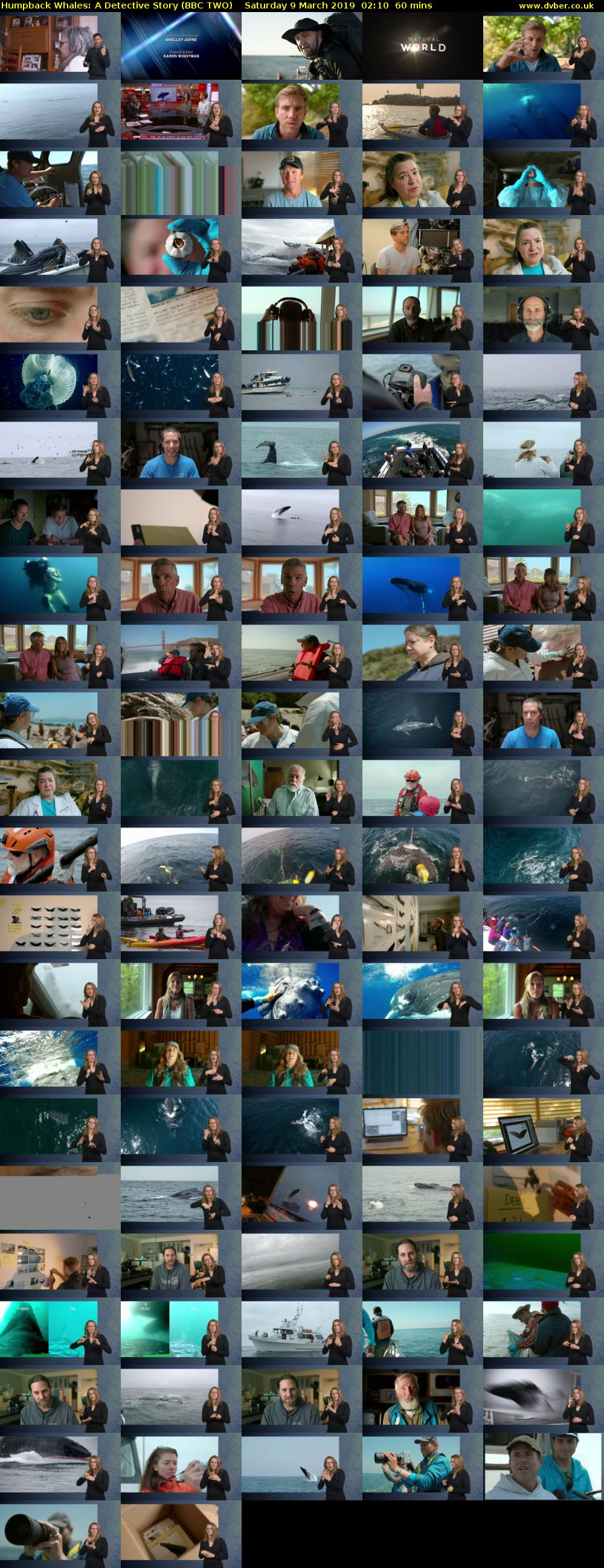 Humpback Whales: A Detective Story (BBC TWO) Saturday 9 March 2019 02:10 - 03:10