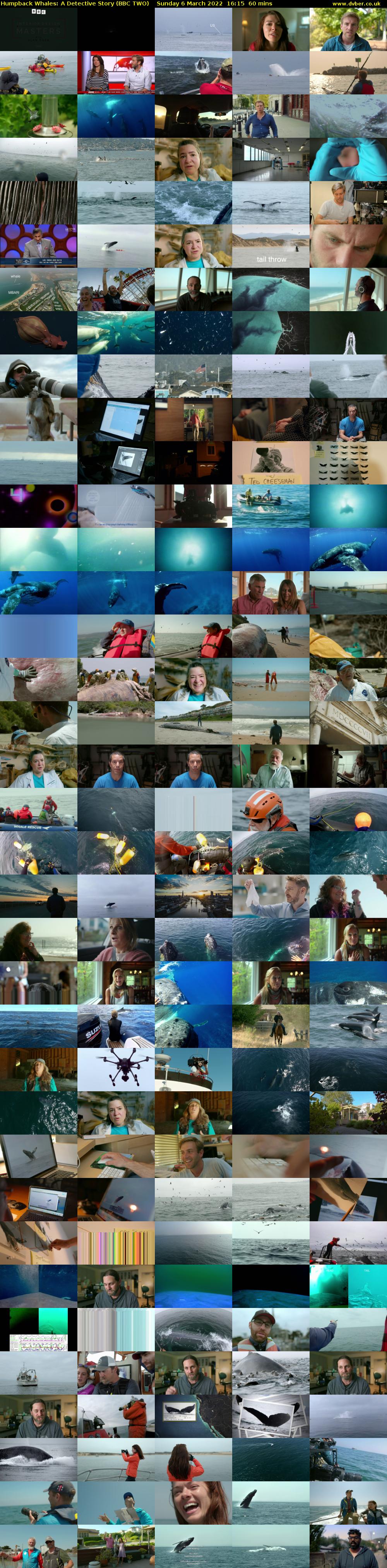 Humpback Whales: A Detective Story (BBC TWO) Sunday 6 March 2022 16:15 - 17:15