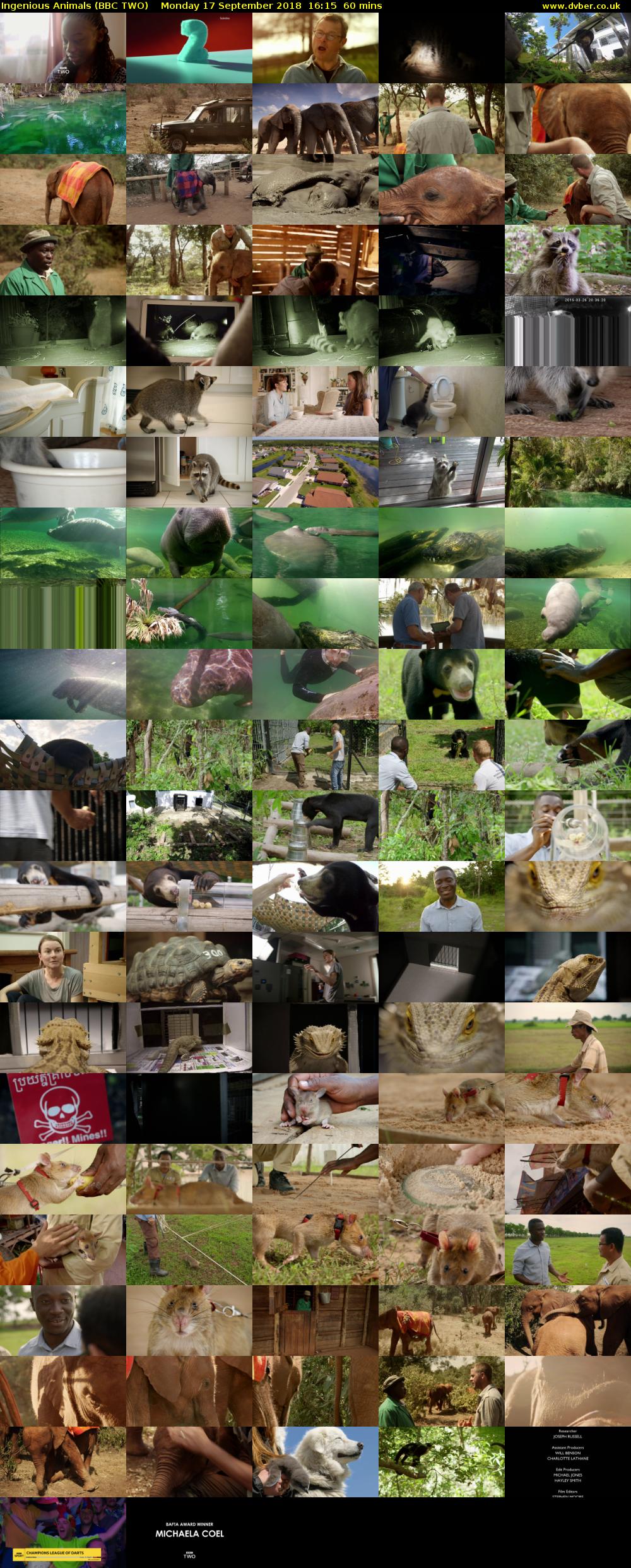 Ingenious Animals (BBC TWO) Monday 17 September 2018 16:15 - 17:15