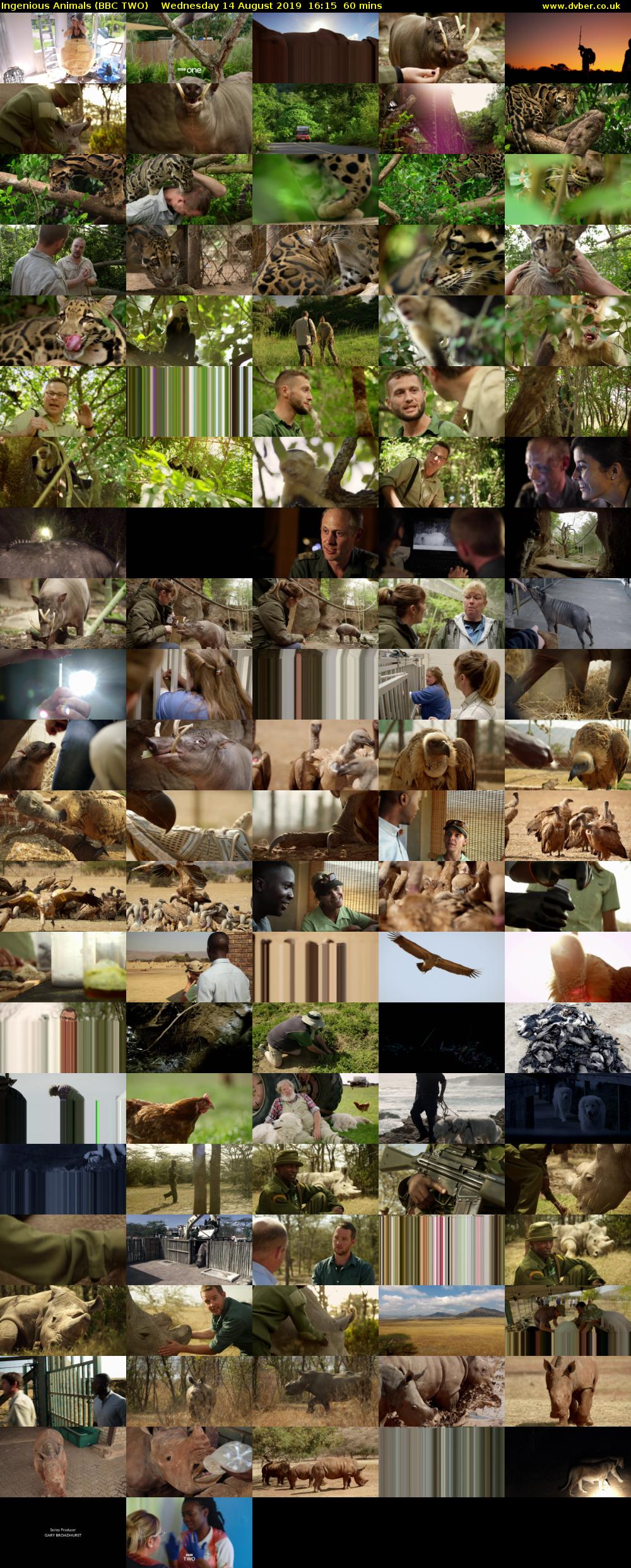 Ingenious Animals (BBC TWO) Wednesday 14 August 2019 16:15 - 17:15